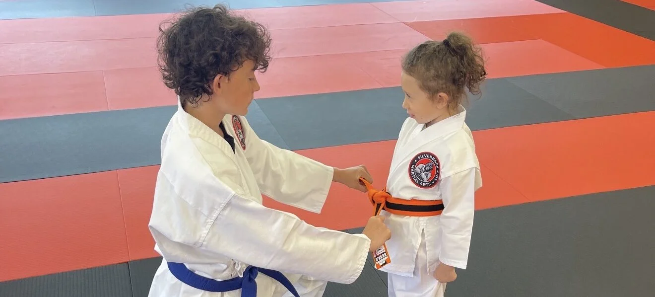 Tiny Tots Troop at Silverback Kids Martial Arts